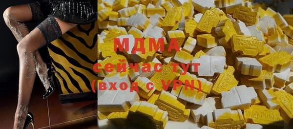 МДПВ Вяземский