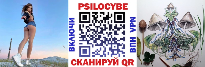 Купить закладки  Лермонтов  Псилоцибиновые грибы Magic Shrooms 